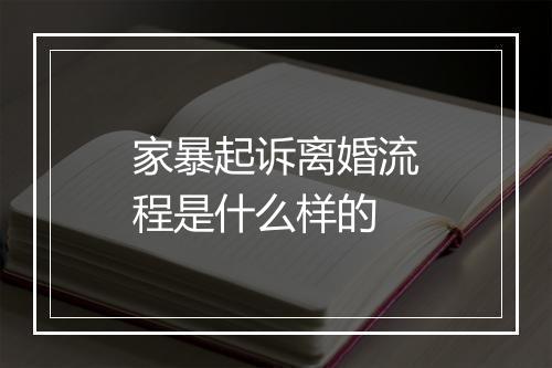 家暴起诉离婚流程是什么样的
