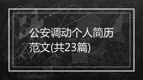 公安调动个人简历范文(共23篇)