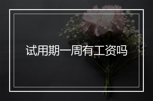 试用期一周有工资吗