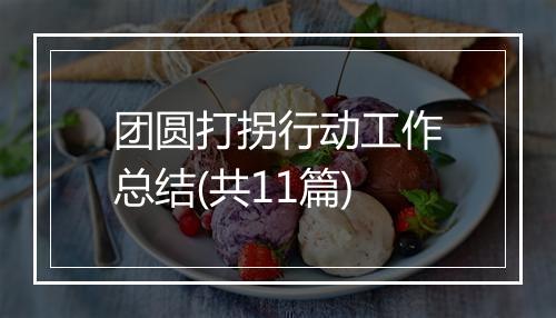 团圆打拐行动工作总结(共11篇)