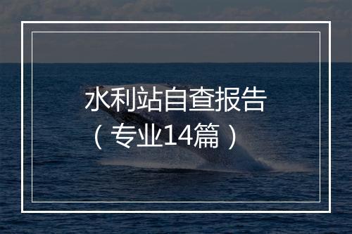 水利站自查报告（专业14篇）