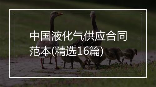 中国液化气供应合同范本(精选16篇)