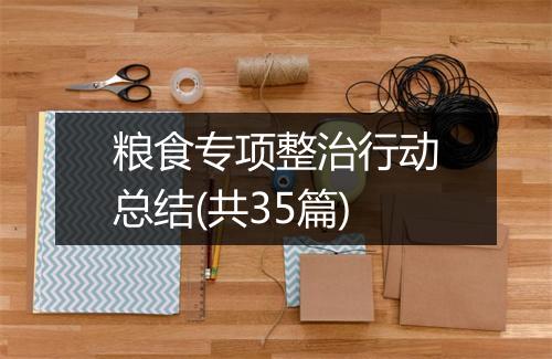 粮食专项整治行动总结(共35篇)