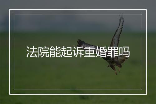 法院能起诉重婚罪吗