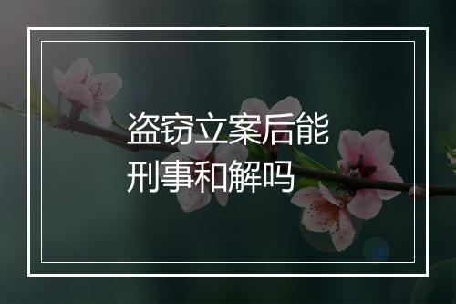 盗窃立案后能刑事和解吗