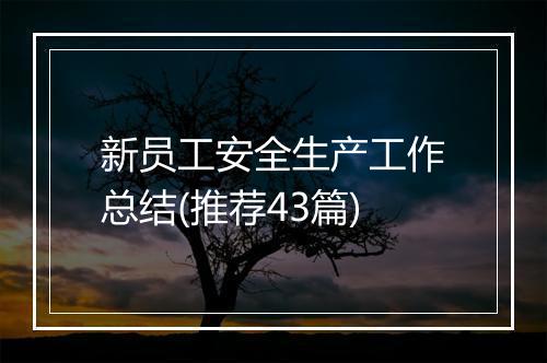 新员工安全生产工作总结(推荐43篇)