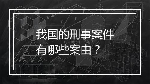 我国的刑事案件有哪些案由？