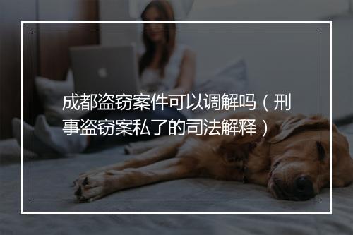 成都盗窃案件可以调解吗（刑事盗窃案私了的司法解释）