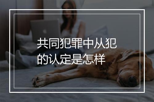 共同犯罪中从犯的认定是怎样