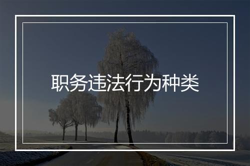 职务违法行为种类