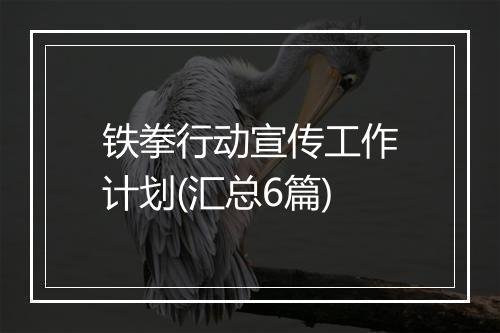 铁拳行动宣传工作计划(汇总6篇)