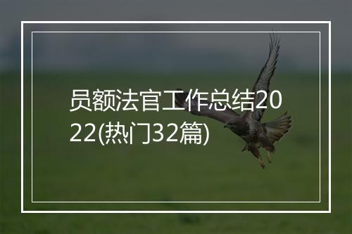 员额法官工作总结2022(热门32篇)