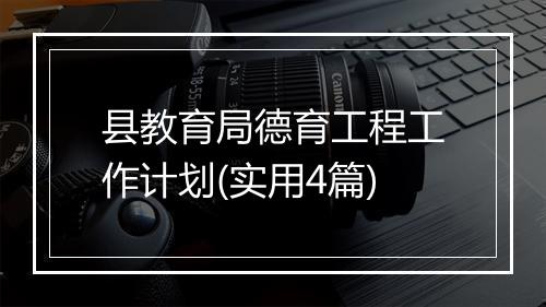 县教育局德育工程工作计划(实用4篇)