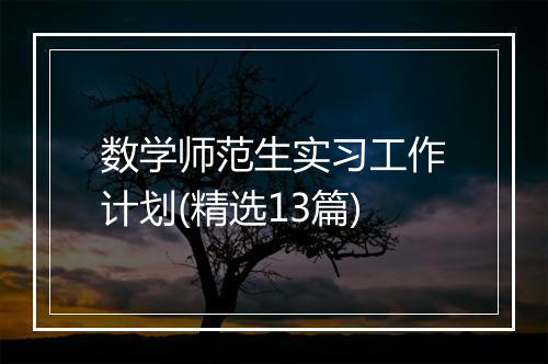 数学师范生实习工作计划(精选13篇)