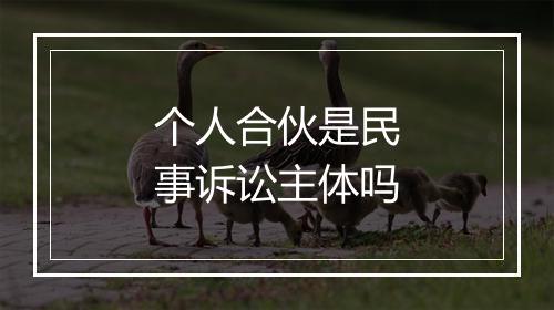 个人合伙是民事诉讼主体吗
