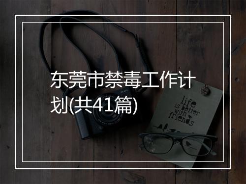 东莞市禁毒工作计划(共41篇)
