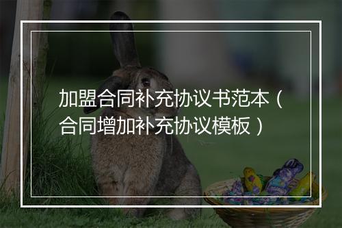 加盟合同补充协议书范本（合同增加补充协议模板）