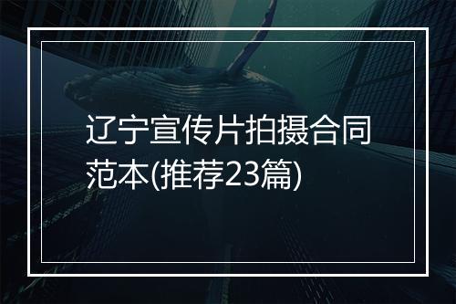 辽宁宣传片拍摄合同范本(推荐23篇)