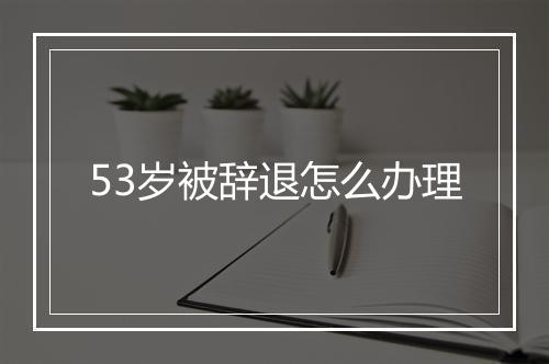 53岁被辞退怎么办理