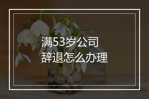 满53岁公司辞退怎么办理