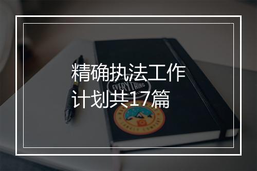 精确执法工作计划共17篇