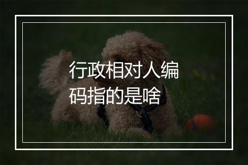行政相对人编码指的是啥