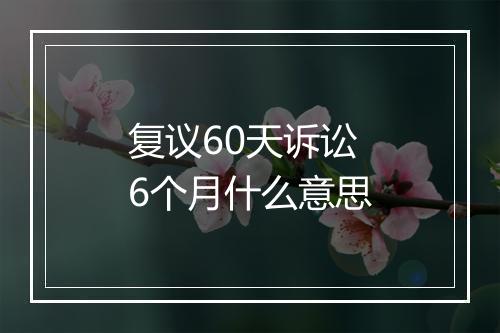 复议60天诉讼6个月什么意思