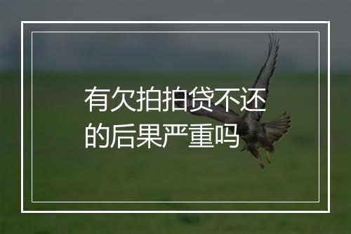 有欠拍拍贷不还的后果严重吗