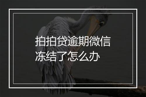 拍拍贷逾期微信冻结了怎么办