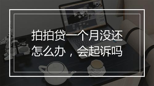 拍拍贷一个月没还怎么办，会起诉吗