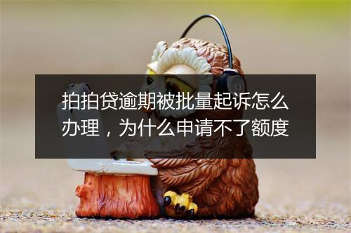拍拍贷逾期被批量起诉怎么办理，为什么申请不了额度