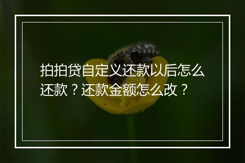 拍拍贷自定义还款以后怎么还款？还款金额怎么改？