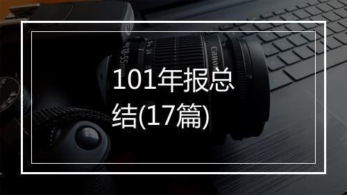 101年报总结(17篇)