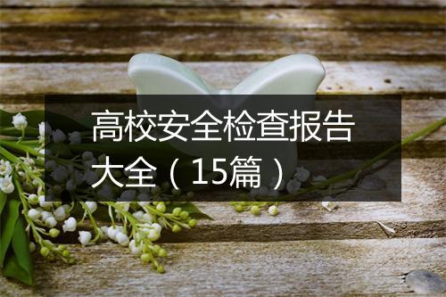 高校安全检查报告大全（15篇）