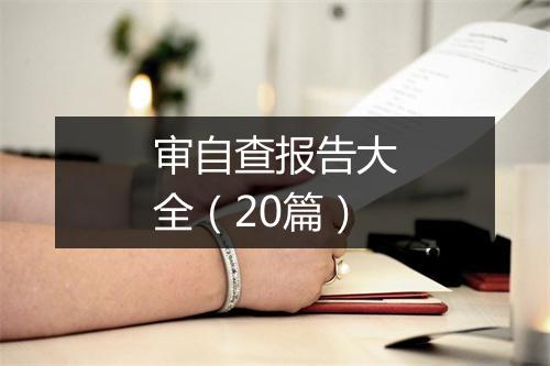 审自查报告大全（20篇）