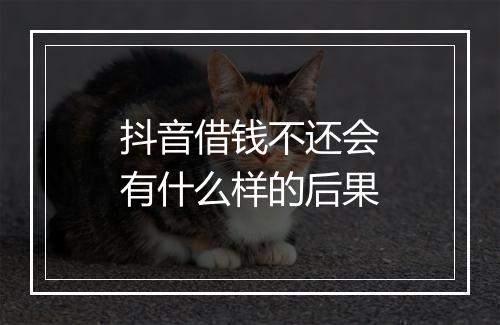 抖音借钱不还会有什么样的后果