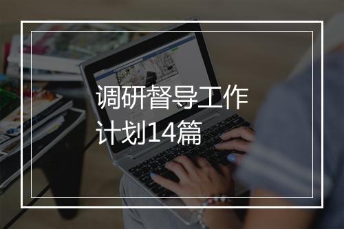 调研督导工作计划14篇