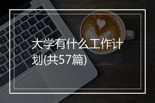 大学有什么工作计划(共57篇)