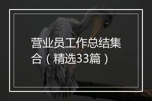 营业员工作总结集合（精选33篇）