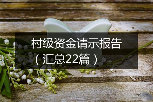 村级资金请示报告（汇总22篇）