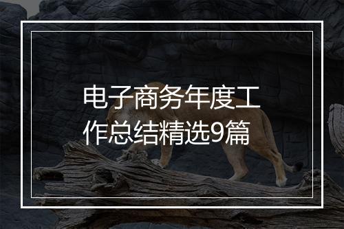 电子商务年度工作总结精选9篇
