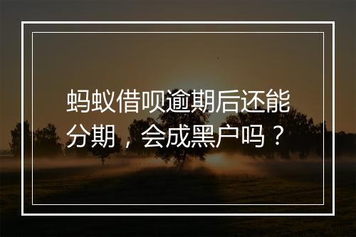 蚂蚁借呗逾期后还能分期，会成黑户吗？