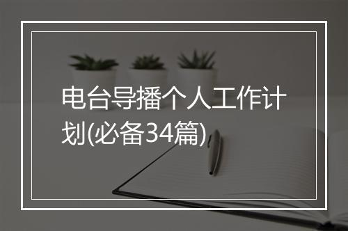 电台导播个人工作计划(必备34篇)