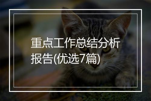重点工作总结分析报告(优选7篇)