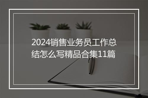 2024销售业务员工作总结怎么写精品合集11篇
