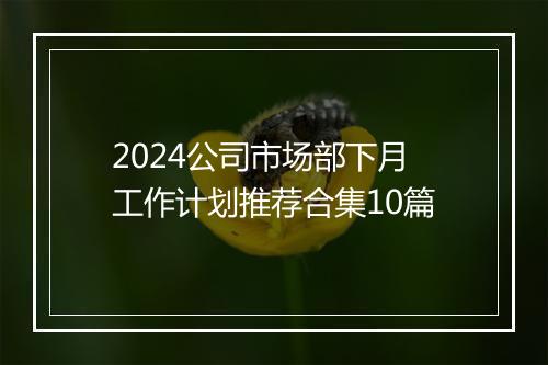 2024公司市场部下月工作计划推荐合集10篇