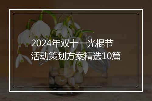 2024年双十一光棍节活动策划方案精选10篇