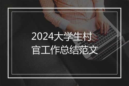 2024大学生村官工作总结范文