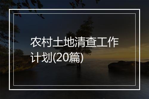 农村土地清查工作计划(20篇)