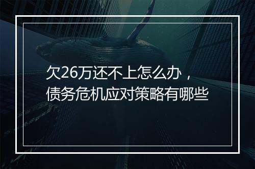 欠26万还不上怎么办，债务危机应对策略有哪些